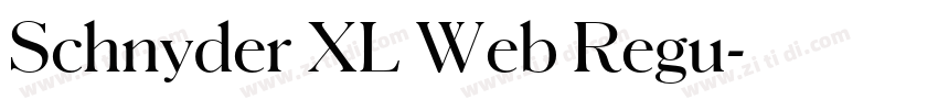 Schnyder XL Web Regu字体转换